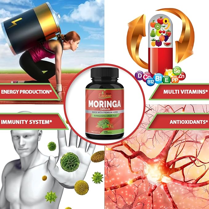 Organic Cadane Moringa Powder Capsules, 4in1 with Ashwagandha, Ginger, Holy Basil Tulsi - Immune Support - Oleifera Leaf Powder Herb Supplements, 120 Capsules