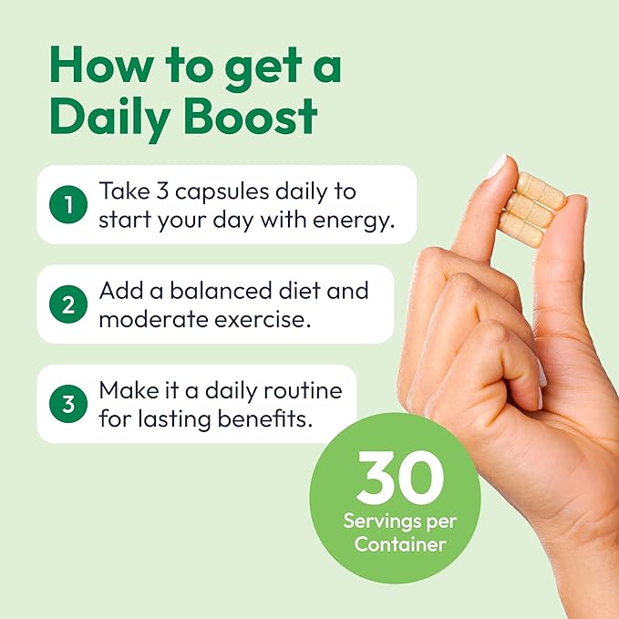 Daily Boost 3-in-1 Weight Loss, Energy, & Focus Support | 7-Keto DHEA (200mg) Thermogenic with Natural Caffeine, CoQ10, B12, Ginkgo Biloba, Ginseng, L-Theanine, Folate | 30 Servings