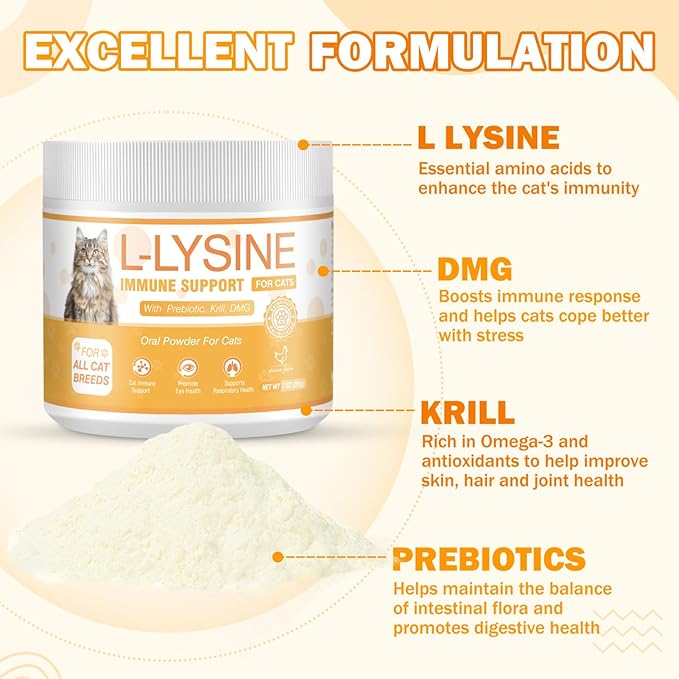 L-Lysine Supplement for Cats 1000 mg/Scoop L Lysine Oral Powder with L-Lysine Prebiotics Krill DMG for Kittens Sneezing Runny Nose Immune Respiratory System Eye Health 7 OZ Chicken Flavor