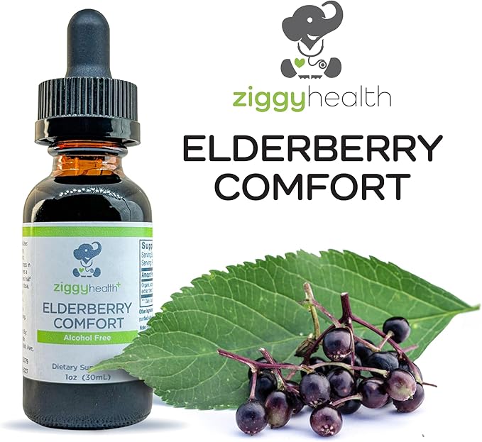 Organic Elderberry Tincture - Elderberry Extract - Liquid Elderberry Drops, Immune Support, Respiratory Support & Defense, 1oz - Ziggy Health