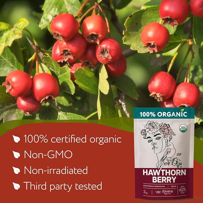 Organic Hawthorn Berry Tea (16 oz.) - Hawthorn Tea, Hawthorne Berries - High Blood Pressure, Heart Health Support, Relaxation