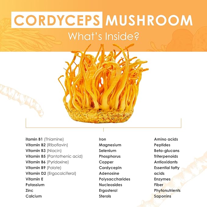 Cordyceps Powder - Performance Mushroom Extract with Organic Cordyceps Mushroom Extract Powder for Energy, Stamina & Endurance Support 60g