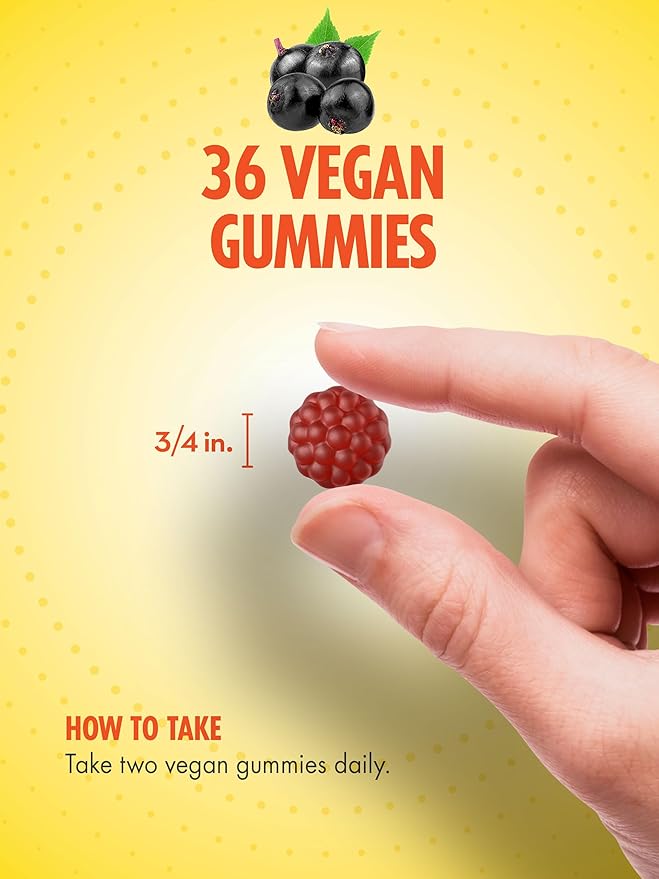 Sundance Black Elderberry Gummies | 36 Count | with Vitamin C and Zinc | Berry Flavor | Vegan, Non-GMO, and Gluten Free Supplement