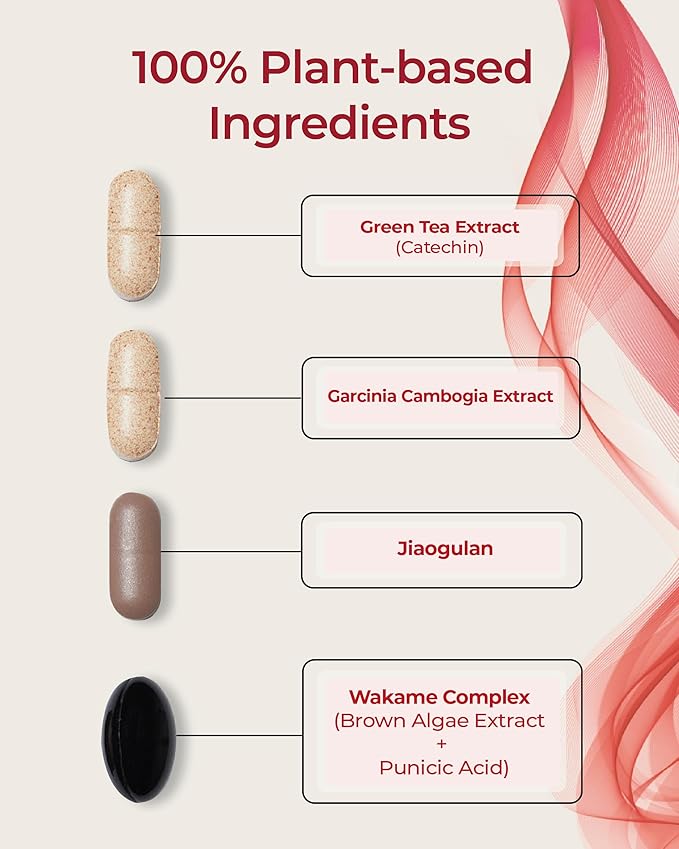 Burningology D-Day (Pack of 1, 10 Days) - Jiaogulan, Wakame Complex, Green Tea Extract, Garcinia Cambogia Supplement.