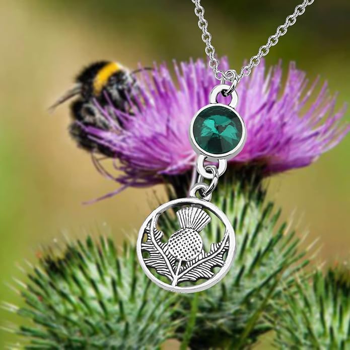 WSNANG Scottish Thistle Necklace Scottish Gifts for Women Thistle Pendant Necklace Scottish Blessing Jewelry