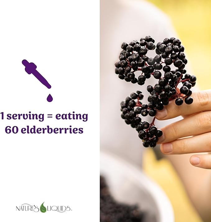 Nature's Liquids Organic Elderberry Syrup Sugar Free | Immune Support for Kids and Adults | 1 Serving Equals 60 Elderberries (2 Fl Oz)