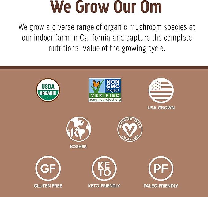 OM MUSHROOM SUPERFOOD Master Blend Creamy Chocolate Protein Powder, 16 Servings, Plant-Based with 10 Mushroom Complex for Recovery & Energy