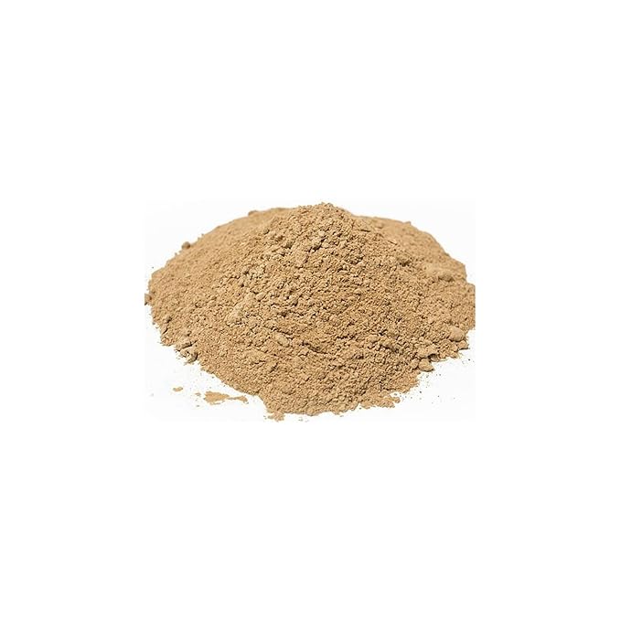 Naturejam Organic Lions Mane Mushroom Powder 1 Pound Bulk-Premium Culinary Grade for Smoothies, Latte and Baking-A Great Coffee Substitute 150-200 Servings