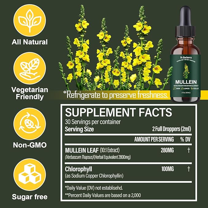 Mullein Drops for Lungs - Lung Detox for Respiratory System, Supports Overall Lung Health, Natural Echinacea Herbal Supplements, Non-GMO, Vegetarian (2 Fl Oz (Pack of 1))