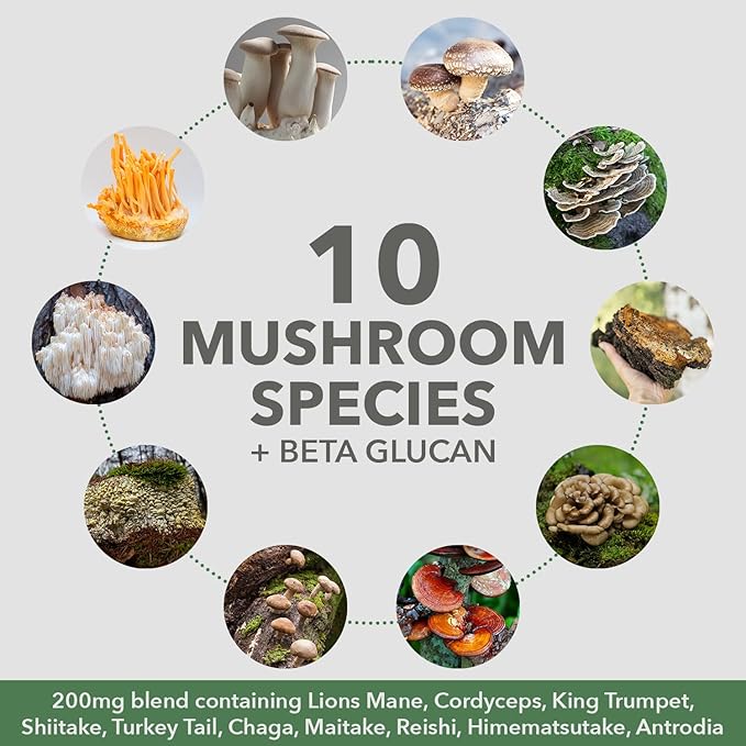 Plantfusion Mushroom Protein Powder - 3 in 1 Vegan Protein Powder, Mushroom Supplement, and Adaptogen Supplement - Support Mental Focus, Immunity, and Recovery - Chocolate 1lb