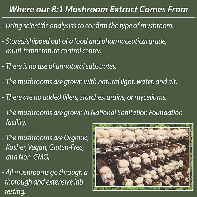 REAL Lion’s Mane Mushroom Gummies - Heart, Immunity, Inflammation, Brain Support, Vegan, Sugar-free, GF, 30 TRUE Servings, 3.7oz