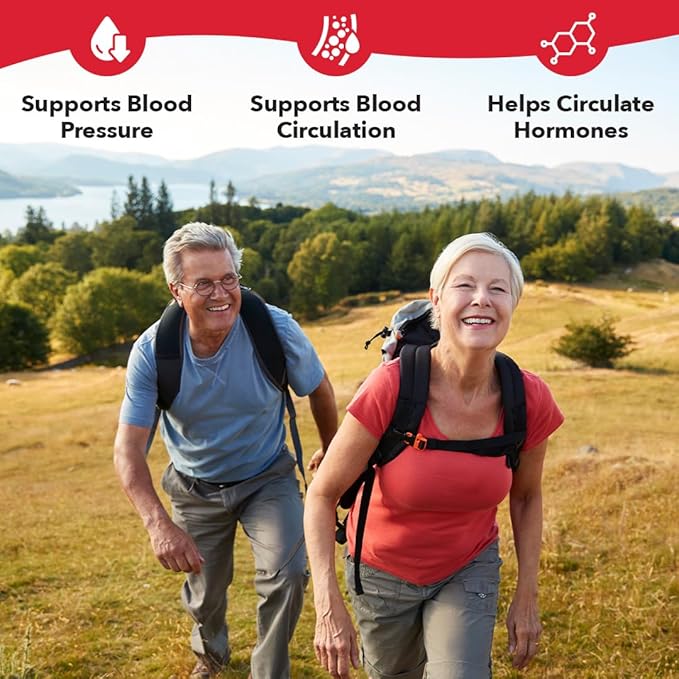 LifeSeasons B/P Stabili-T - Blood Pressure Support - Supplement for Healthy Heart & Circulation - Ashwagandha, Arjuna, Gotu Kola & Hawthorn Berry - 120 Capsules