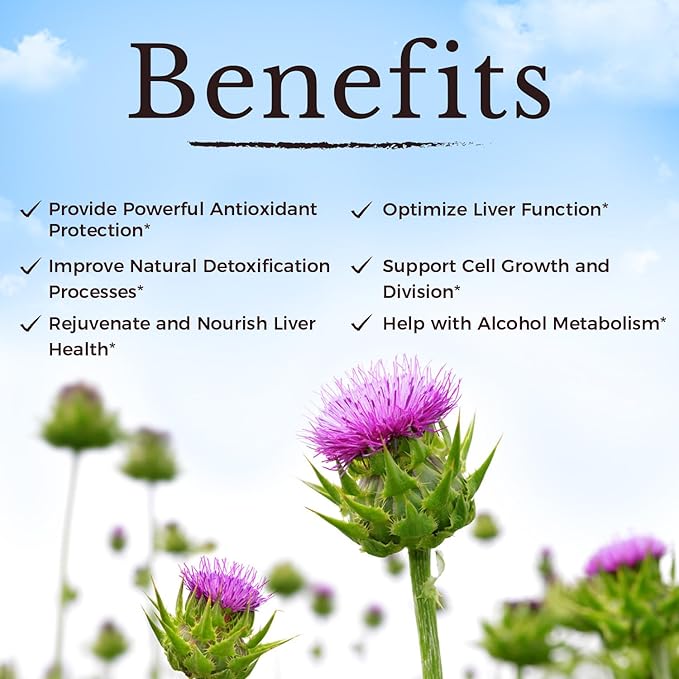 Vitalitown Milk Thistle Complex | 30X Extract & Std. 80% Silymarin | Choline + Dandelion Root + Zinc | Superior Liver & Antioxidant Support | Vegan, Non-GMO, No Dairy | 600 mg | 60 Veggie Caps