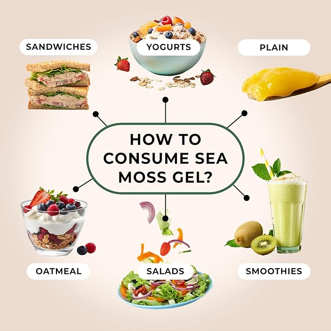 TrueSeaMoss Sea Moss Gel – Made in USA – 5-in-1 Formula – Wildcrafted Seamoss, Ashwagandha & Sea Vegetables – Ashwagandha, Pack of 1 (Labels may Vary)