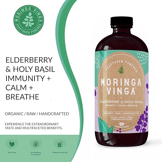 VINGA Organic Elderberry & Holy Basil Moringa Infusion – Daily Herbal Tonic with Apple Cider Vinegar, Ginger, Hibiscus, Honey | Supports Immune & Overall Wellness | Non-GMO, 16 oz