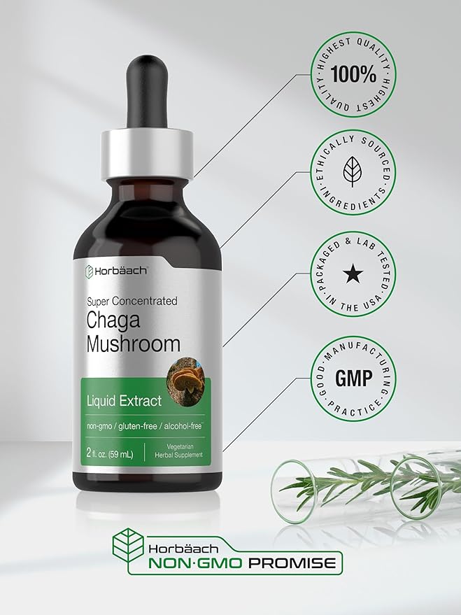 Horbäach Chaga Mushroom Liquid Extract | 2 Fl Oz | Vegetarian Tincture | Alcohol Free | Non-GMO, Gluten Free