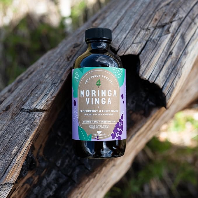 VINGA Organic Elderberry & Holy Basil Moringa Infusion – Daily Herbal Tonic with Apple Cider Vinegar, Ginger, Hibiscus, Honey | Supports Immune & Overall Wellness | Non-GMO, 16 oz