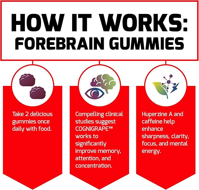 FORCE FACTOR Forebrain Gummies, 3-Pack, Nootropic Brain Support Supplement for Memory & Focus, Brain Vitamin with COGNIGRAPE & Huperzine A, Focus Gummies to Support Recall & Sharpness, 180 Gummies
