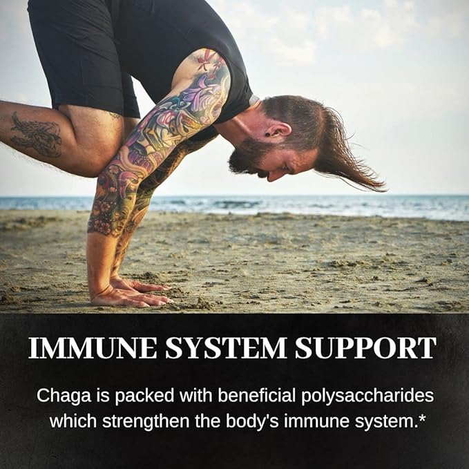 Chaga Mushroom, 60 Capsules, 500mg Each, Antioxidant & Immune Support, Hot Water Extract, Fruiting Bodies, 30% Beta-D-Glucans