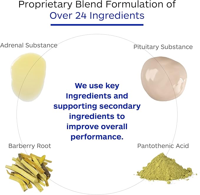 Adrenal Complex Supplement – Supports Healthy Adrenal Function, Stress Relief, and Energy Levels – 90 Vegetarian Capsules