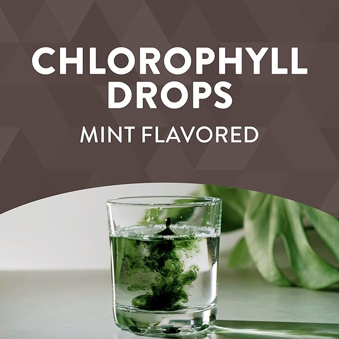 Nature's Way Chlorofresh, Liquid Chlorophyll Concentrate Drops, Internal Deodorant*, Supports Detoxification Pathways*, Mint Flavored, 2 Fl. Oz.