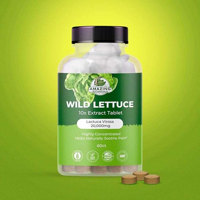 Wild Lettuce Extract Tablets 10X (60 Tablets) 2,000MG Each | Lactuca Virosa | Sleep Support | Helps Naturally Soothe Pain - 60 Count