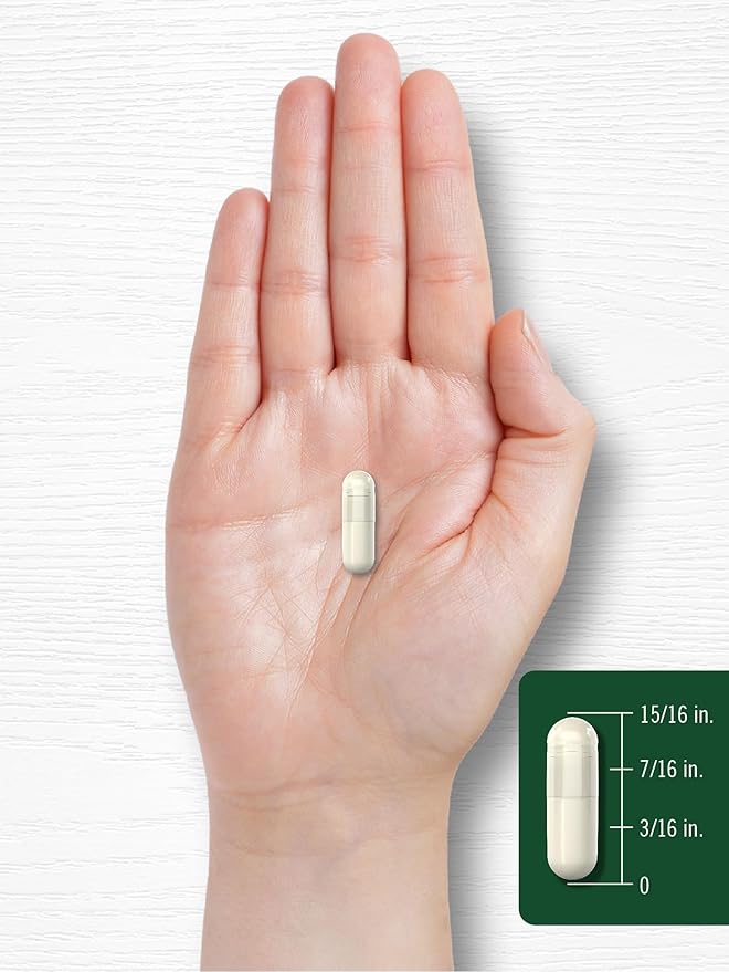 Carlyle Boswellia Extract Capsules 1200mg | 250 Count | Boswellia Serrata Complex with Black Pepper Extract | Non-GMO, Gluten Free Supplement
