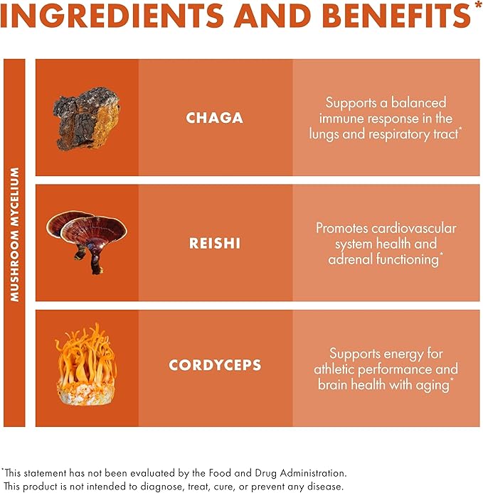 Host Defense Breathe* Capsules - Immune & Respiratory Support Mushroom Supplement - Herbal Lung Health Supplement with Chaga, Reishi & Cordyceps - 60 Capsules (30 Servings)*