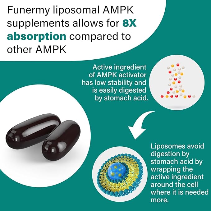 Liposomal AMPK Activator 2000 mg - High Bioavailability Berberine HCL,DIM,Milk Thistle,and Cinnamon Bark Capsule 6-in-1 AMPK Supplements for Antioxidant Support and Cellular Regulation, 180 Softgels