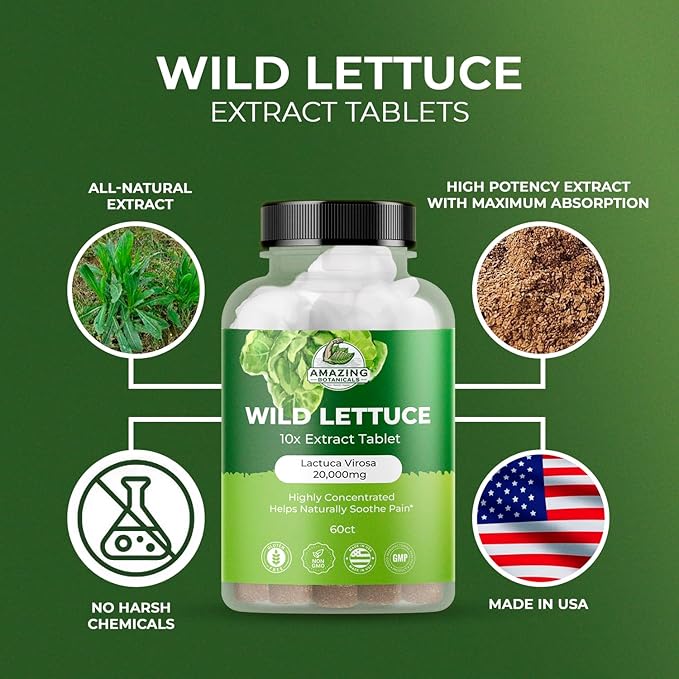 Wild Lettuce Extract Tablets 10X (60 Tablets) 2,000MG Each | Lactuca Virosa | Sleep Support | Helps Naturally Soothe Pain - 60 Count
