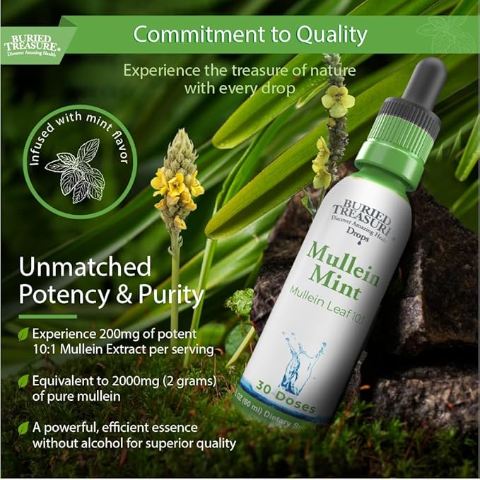 Buried Treasure Mullein Mint Drops: Instant Mullein Tea, Mullein Leaf Extract for Supporting Lungs, No Sugar, Easy-to-Use Drops for Seasonal Support