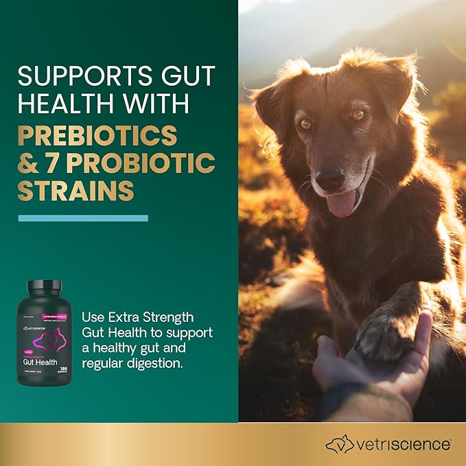 VetriScience Extra Strength Gut Health Probiotic & Prebiotic Digestive Supplements for Dogs & Cats, Gas & Diarrhea & Immune Support, Easy-Open Capsules, 180 Count - New Look