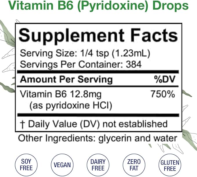 Vitamin B6 (Pyridoxine) Drops – Liquid Vitamin B Drops for Natural Brain Function Support, Blood Vessels & Immune Support – Liquid Vitamin Mood Supplement – Alcohol-Free Health Supplement (16 Fl Oz)