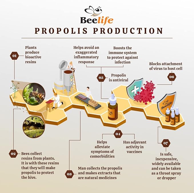Beelife Propoflex Green Propolis Extract for Kids - No Alcohol Bee Propolis Tincture, High Artepillin-C Levels - Natural Antioxidant-Rich Liquid Supplement - Strawberry Flavor, Made in Brazil, 30ml