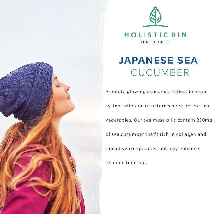 Holistic Bin Purple Sea Moss and Sea Cucumber Supplement Wildcrafted Raw Sea Moss Capsules | 500mg Sea Vegetables Per Serving