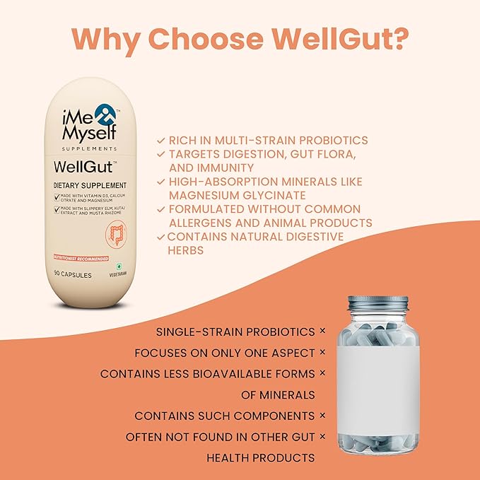 WellGut Daily Herbal Supplement | Traditional Herbs with Minerals & Probiotics 90 Vegan Capsules