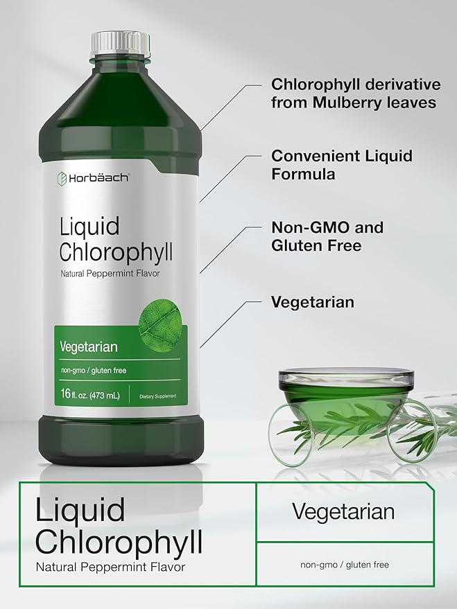 Horbäach Chlorophyll Liquid Drops | 100mg | 32 oz (2 x 16 oz Bottles) | Natural Peppermint Flavor | Vegetarian, Non-GMO, Gluten Free Supplement