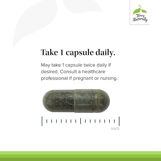 Terry Naturally Andrographis EP80 Extra Strength - Brain Health & Immune Support - Joint Health Support to Aid Mobility - Adaptogen Supplement for Energy & Liver Support - 60 Capsules (Pack of 2)
