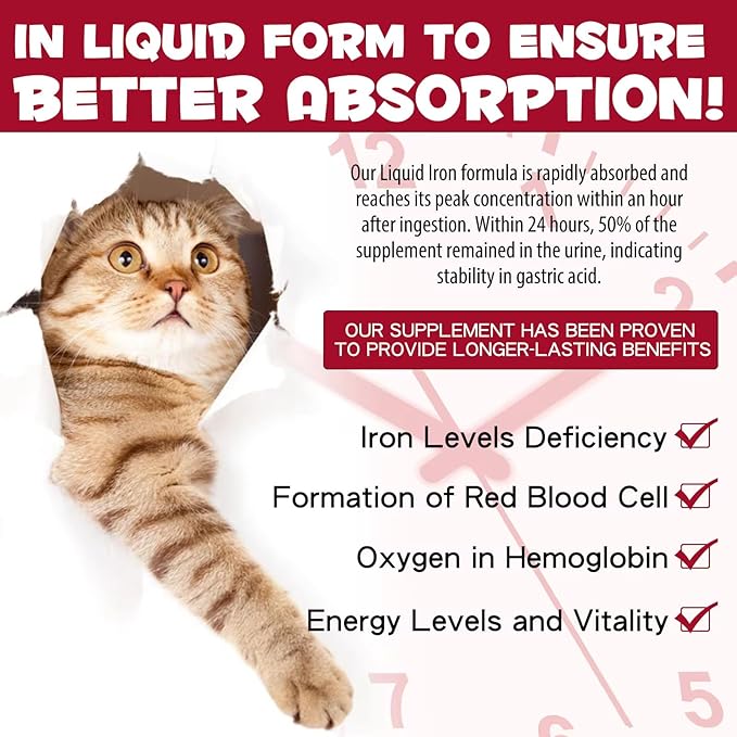 Liquid Iron Supplements for Cats and Kittens - with Folate and B12 – Supplements Anemia, Promotes Blood Health, Oxygen Supply and Blood Cell Formation – Increase Low Energy Levels – Lethargy - 2 oz