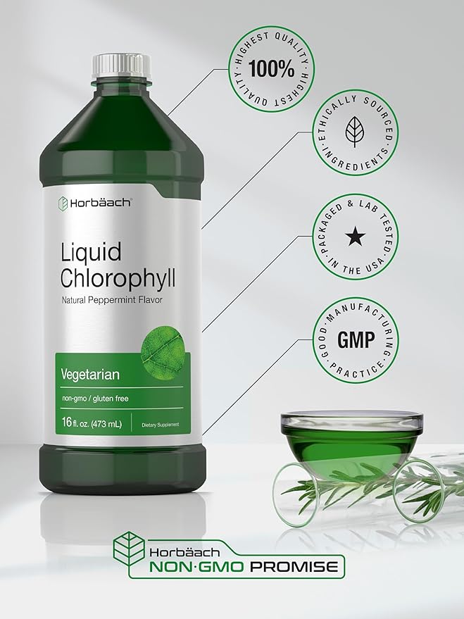 Horbäach Chlorophyll Liquid Drops | 100mg | 32 oz (2 x 16 oz Bottles) | Natural Peppermint Flavor | Vegetarian, Non-GMO, Gluten Free Supplement