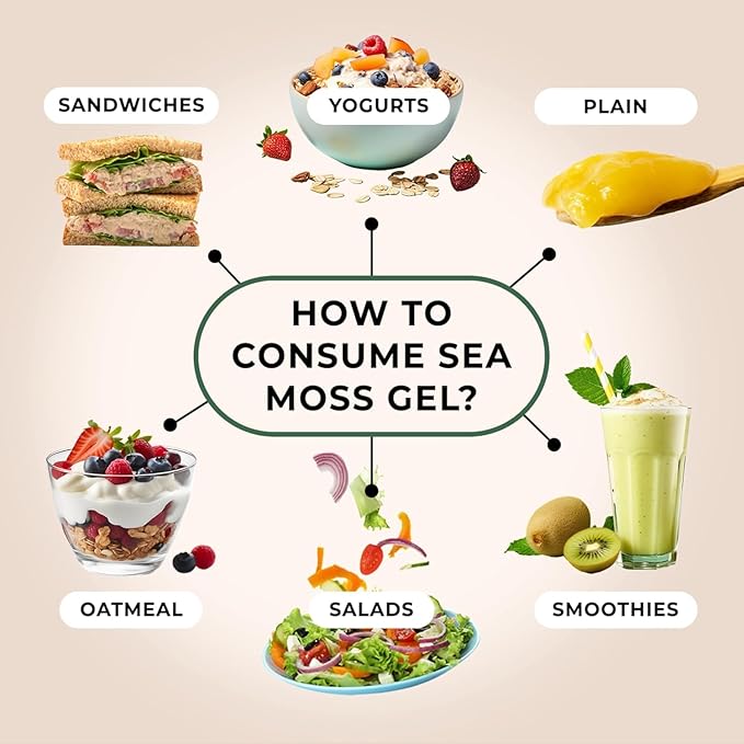 TrueSeaMoss Sea Moss Gel – Made in USA – Wildcrafted Seamoss, Fresh Fruits & Sea Vegetables – Lemon Pie, Pack of 3 (Labels may Vary)