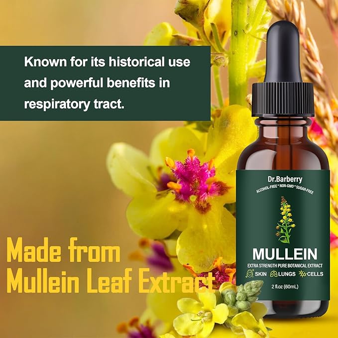 Mullein Drops for Lungs - Lung Detox for Respiratory System, Supports Overall Lung Health, Natural Echinacea Herbal Supplements, Non-GMO, Vegetarian (2 Fl Oz (Pack of 1))
