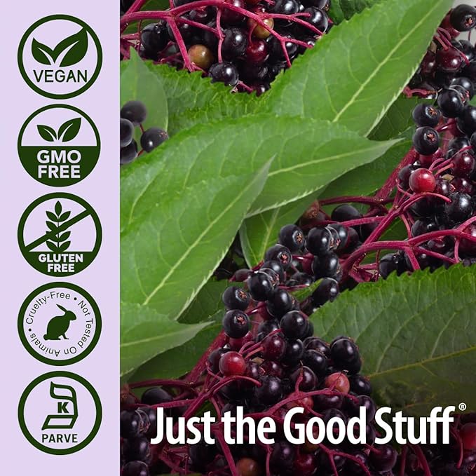 Nature's Answer Sambucus Black Elder Berry Extract Syrup in Plastic Bottle Alcohol-Free 8-Fluid Ounces | Daily Immune Support | Packed with Antioxidants | Family Friendly | Flue Season Defender