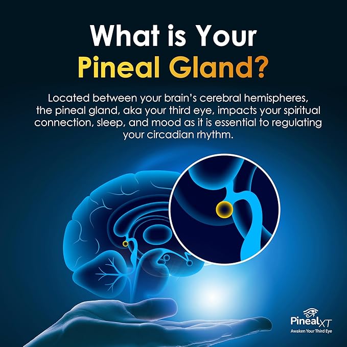 Pineal XT Gold - Pineal Gland Supplement - Third Eye Awakening - Focus and Memory Supplement for Brain - 7 Powerful Ingredients Decalcify, Detox, and Activate Your Pineal Gland, 3 Pack