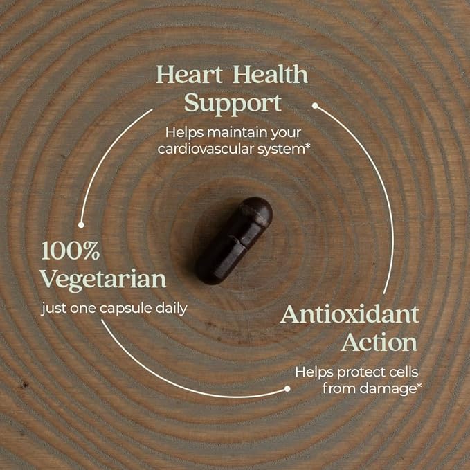 New Chapter Cinnamon Supplement - Cinnamon Force for Antioxidant Action + Non-GMO Ingredients - 30 ct Vegetarian Capsules