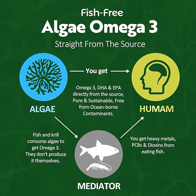 Vegan Omega 3 Gummies Sugar Free + Berberine Supplement