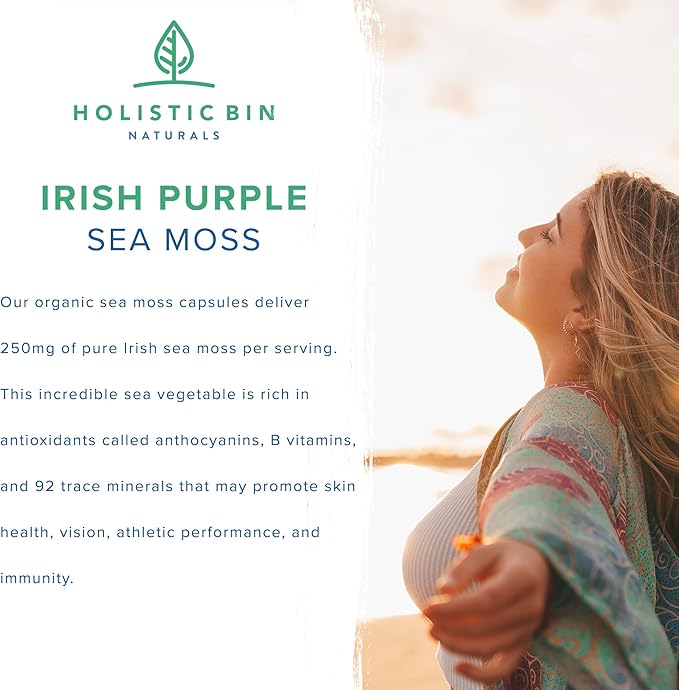 Holistic Bin Purple Sea Moss and Sea Cucumber Supplement Wildcrafted Raw Sea Moss Capsules | 500mg Sea Vegetables Per Serving