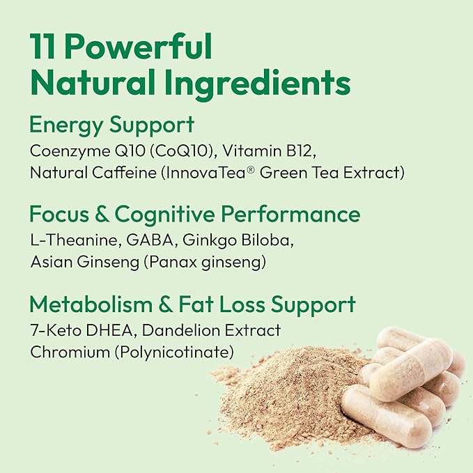 Daily Boost 3-in-1 Weight Loss, Energy, & Focus Support | 7-Keto DHEA (200mg) Thermogenic with Natural Caffeine, CoQ10, B12, Ginkgo Biloba, Ginseng, L-Theanine, Folate | 30 Servings