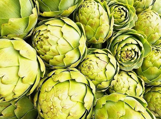 Artichoke 20 Seeds for Planting Non-GMO