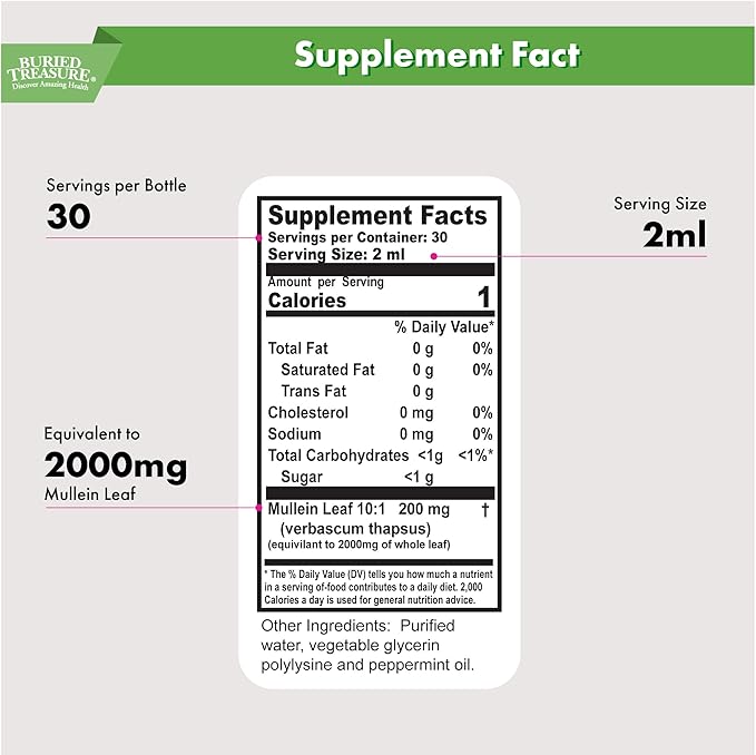 Buried Treasure Mullein Mint Drops: Instant Mullein Tea, Mullein Leaf Extract for Supporting Lungs, No Sugar, Easy-to-Use Drops for Seasonal Support